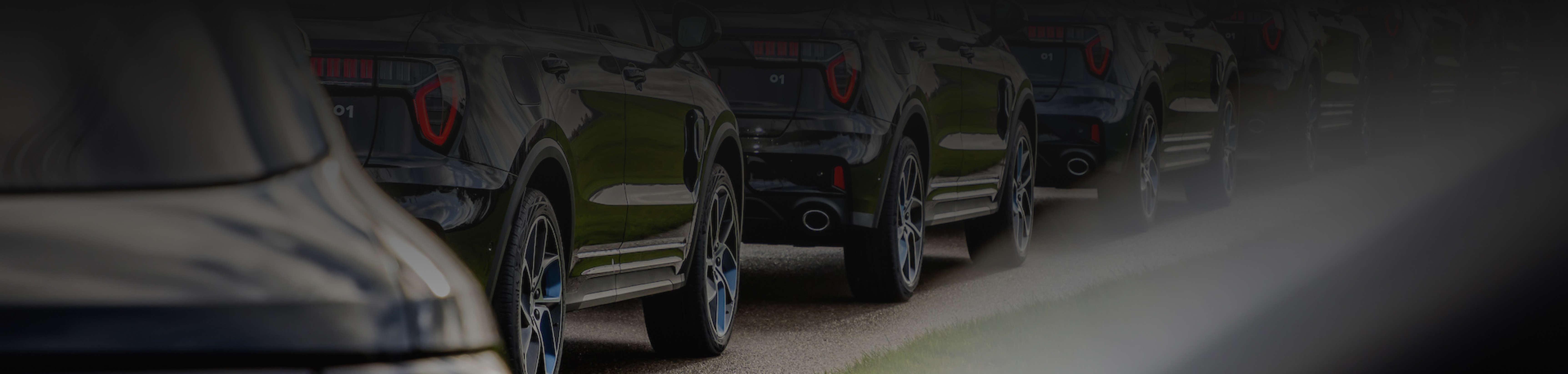 Header Image 0