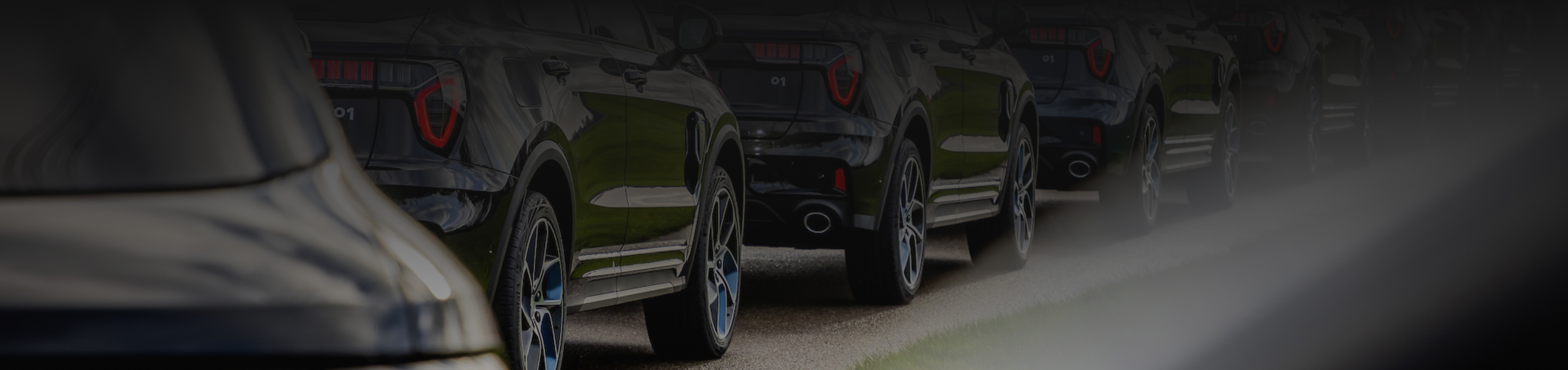 Header Image 0